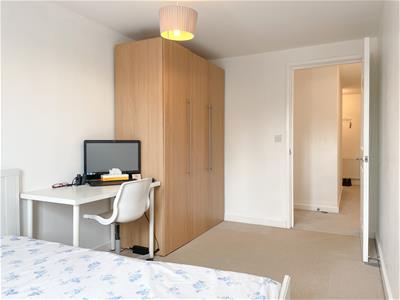 Picture 11